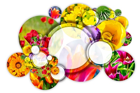 Floral Concept. Gardening Circle. Cool Composition of Flowers Circles on Solid White Background. Perfect for Landscaping Companies, Botanic Gardens or Flower Shops. Logo Space in the Middle Largest Circle.の写真素材