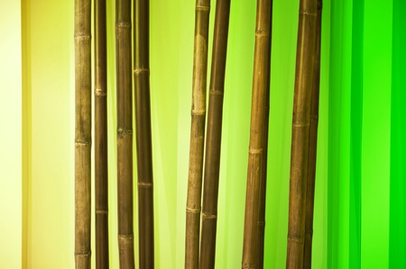 Dry Bamboo Branches - Bamboo Interior Decoration Elements.の写真素材