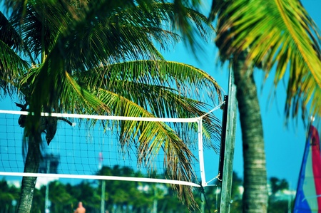 Beach Volley Ball Theme  Florida Beach Volley Ball Game Placeの写真素材