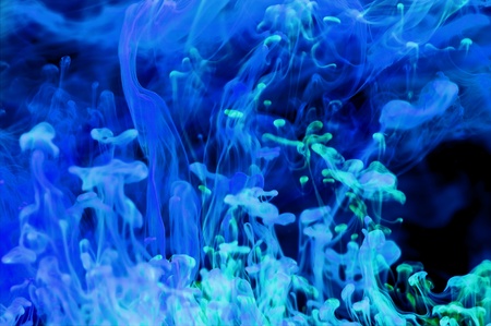 Blue Fluids Abstract. Abstract Fluids Fusion Backgroundの写真素材