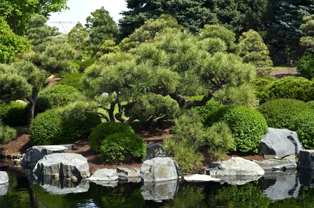 Botanic Garden - Japanese Garden with Small Pond  の写真素材