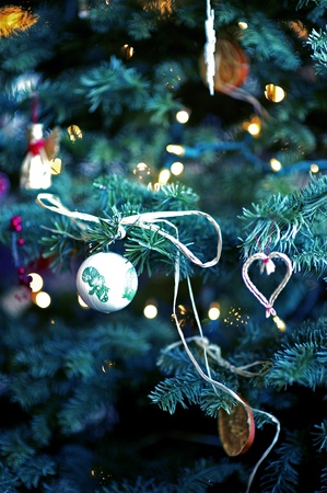 Christmas Tree Closeup Photo  Cool Elegant Christmas Tree Closeup Photography  Seasonal Theme の写真素材
