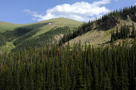 Colorado Landscape. Winter Park Area, Colorado USA