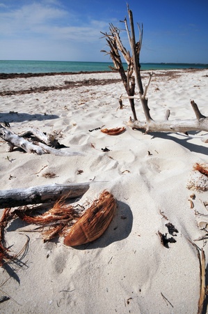White Sands of South Florida Beaches. Florida USAの写真素材