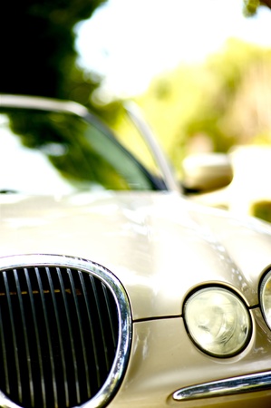 Luxury Vehicle (Car Front) in Sunny Day