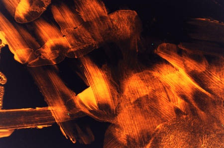 Fire Brush - Grunge Background, Texture with Burning Colors  Background from the Hellの写真素材