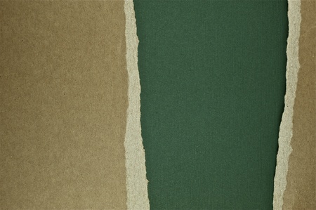 Green Deco Paperの写真素材