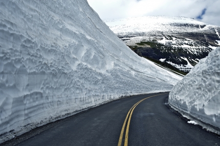 Road Thru Snow - Huge Snowfields on Sides of the Road. Glacier National Park - Famous Road-to-the-Sun. Montana, USA. Montana Photography Collection.の写真素材