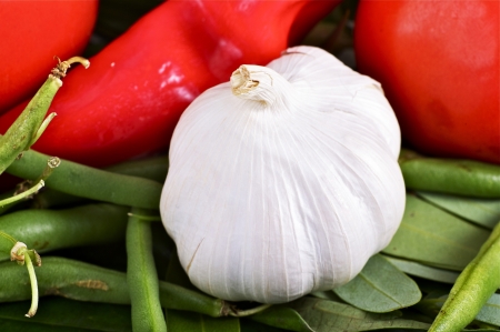 Organic Garlic and Other Vegetables: Green Beens and Tomatoes. Vegetables Photo Collection.の写真素材
