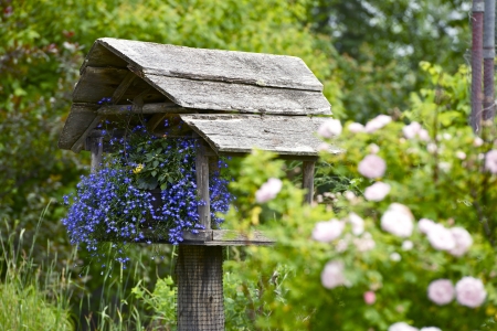 Home Garden. Small Beautiful Garden with Flowers in the Bird House.の写真素材