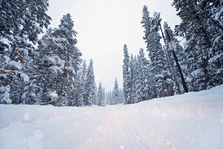 Scenic Winter Road After 3 Feet of Snow Has Fallen. Colorado Winter Road