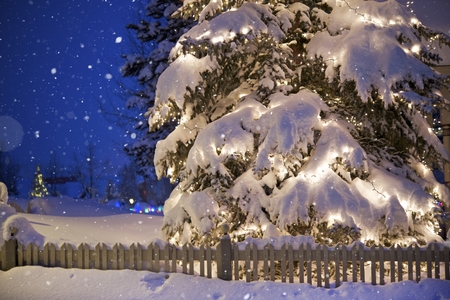 Illuminated Christmas Tree Under Snow. Outdoor Holidays Decoration. 