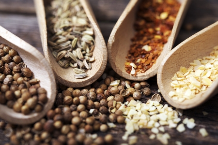 Dry Spices Closeup Photo. Four Different Spices, Crushed Red Pepper, Coriander, Fennel and Garlic.の写真素材
