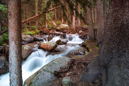 Wilderness Small Forest River. Rocky Mountain Stream