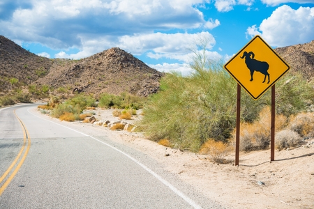 Desert Bighorn Sheep Sign on the Joshua Tree Park Road. の写真素材
