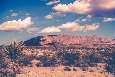 California Summer Desert Theme Vintage Color Grading. Southern Californiaの写真素材