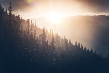 Sunny Winter Hills. Hill Forest and Falling Snow in the Sun.