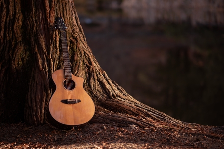 Wooden Acoustic Guitar and the Tree Music Concept Photo.の写真素材