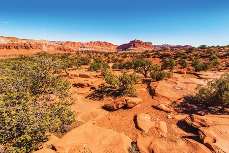 Capitol Reef Rocky Landscape. Red Navajo Sandstones Landscape. Utah, United States.の写真素材