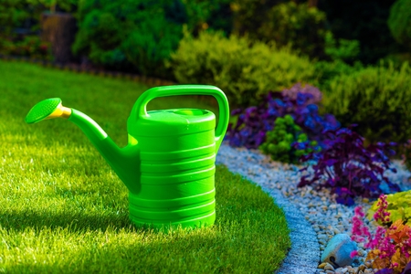 Green Plastic Watering Can in the Rockery Gardenの写真素材