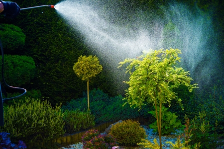 Home Garden Spring Works. Pest Control Spraying. Taking Care of Garden.の写真素材