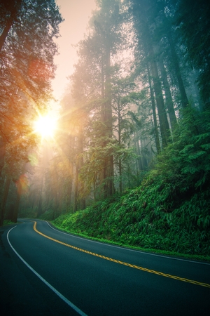 Northern California Redwood Highway Trip. Redwood Highway Sunset. United States of America.の写真素材