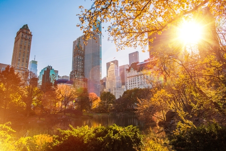 New York Central Park, United States of America. Sunny New York City.の写真素材
