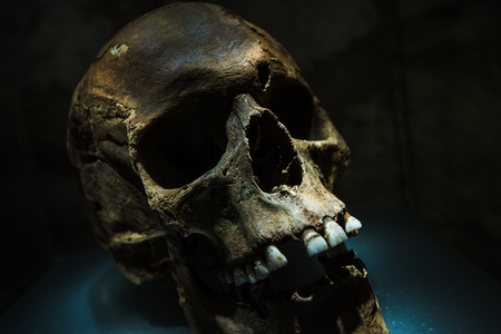 Ancient Human Skull in Dark Place Closeup Photo.の写真素材