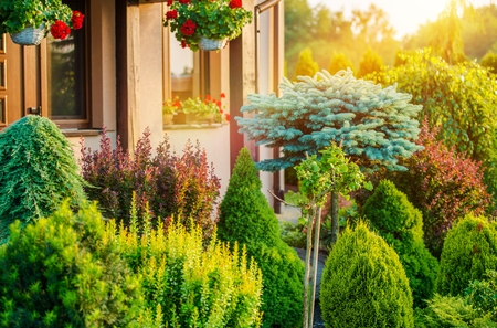 Beautiful Rockery Garden in Front of House. Summer Vegetation in the Residential Garden.の写真素材