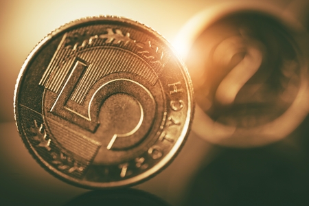 Polish Zloty Coins Closeup. Five and Two Zloty Metal Coins Macro Photo. Polish Currency.の写真素材