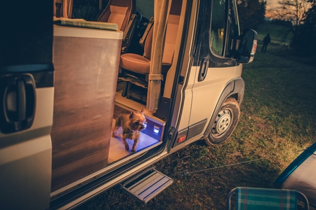 Dog in the Camper Van. Rving with Pets Concept Photo.の写真素材
