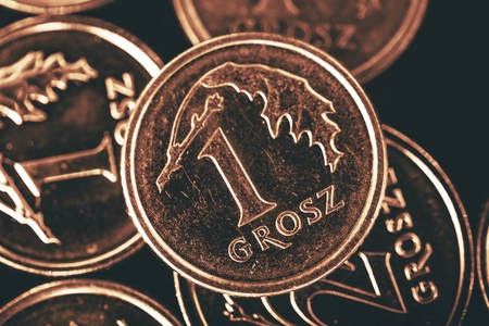 Polish Single Grosz Coin. Polish Currency Concept Photo.の写真素材