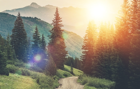 Sunny Mountain Countryside Road. Gravel Road in the Scenic Forest and Mountain Landscape.の写真素材