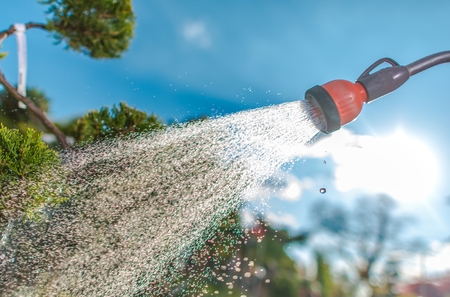 Watering Garden Flowers During Sunny Day. Taking Care of the Garden.の写真素材