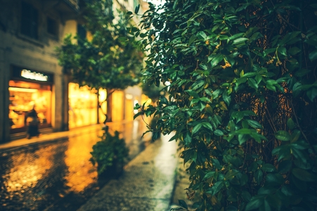 Urban Green Gardens. Importance of Plants and Green Places in a City Architecture.の写真素材