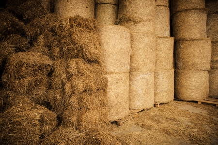 Farm Hay Storage Facility. Pile of Bales of Hay. Livestock Foodの写真素材