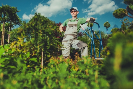 Happy Caucasian Gardener and His Garden. の写真素材
