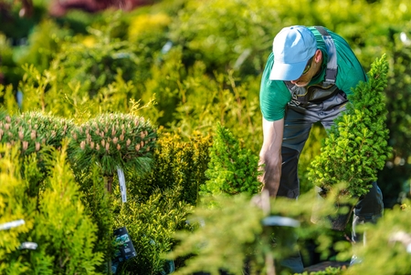 Caucasian Gardener Buying New Plants in His Favorite Garden Store.の写真素材