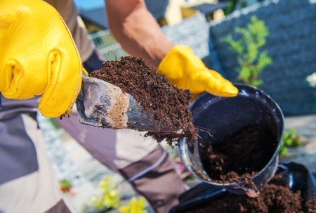 Right Soil For the Plants. Gardener Filling Flower Pot with Proper Soil. Gardening Theme.の写真素材