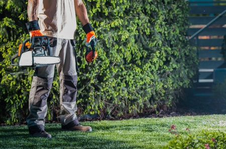Men with Gasoline Chain Saw Preparing For Trees Cutting Job.