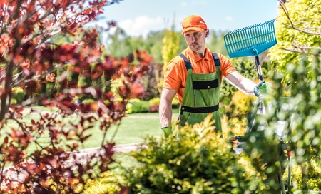 Agriculture Concept. Gardener with Rake. Summer Time Backyard Garden Maintenance.