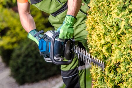 Shaping Garden Trees with Powerful Gasoline Hedge Trimmer Equipment. Gardener with Power Tool.の写真素材