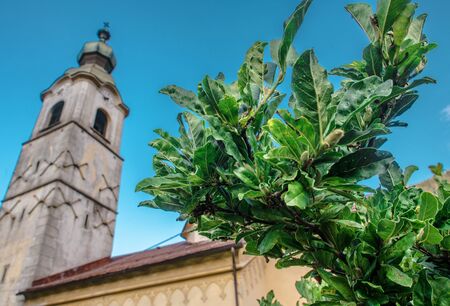 The Italian Place. Nature and Architecture. Aged Church in a Background. Urban Flora.の写真素材