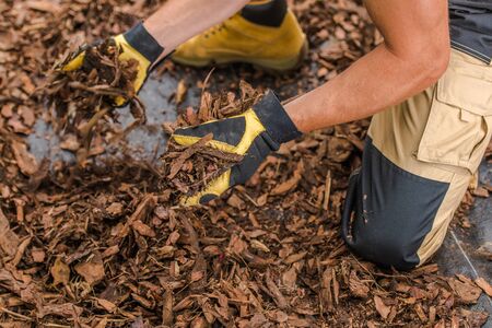 Caucasian Gardener with Garden Bark Chips. New Residential Garden Development.