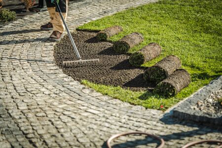 Newly Developed Garden Grass Turfs Installation> Landscaping Industry Theme.