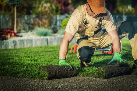Professional Landscaper Job. Caucasian Pro Gardener Installing New Rolls of Natural Grass Turfs. の写真素材