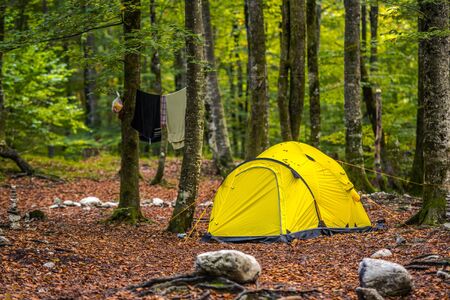 Forest Camping. Yellow Modern Tent and the Campsite Pitch. Summer Travel Theme.の写真素材