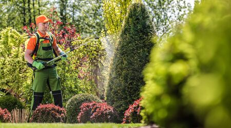 Garden Plants Pesticide. Caucasian Professional Gardener with Fertilizer. Seasonal Garden Maintenance.の写真素材