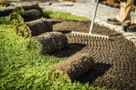 Close Up Of Worker Raking Dirt And Preparing To Install Rolls Of Soil And Turf.の写真素材