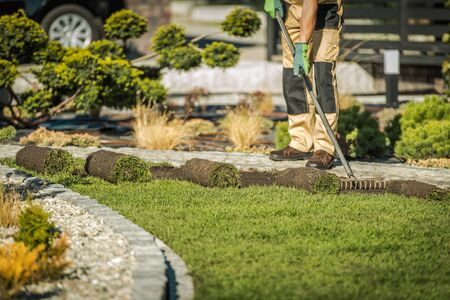 Male Landscaping Worker Raking Soil And Laying Rolls Of Sod. の写真素材